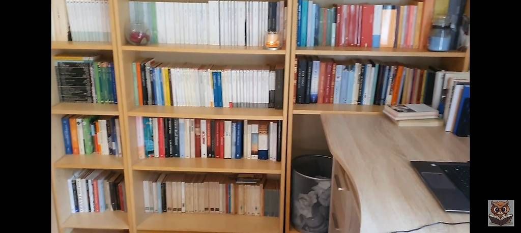Scaffali: 3 librerie Billy – Usato da Pregassona venduto da ter_8n96 3