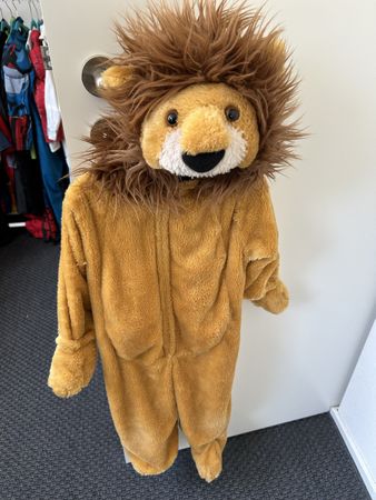 Cute Lion Costume for Kids - Perfect for Carnival!