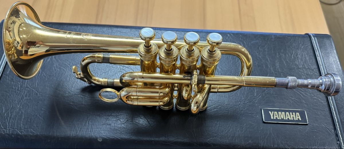 Selmer Strumenti musicali: Selmer Piccolo Hoch B/A Trompete – Usato da Hochdorf venduto da Antonio1 1