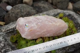 Rosenquarz  Rohstück  750g  Topstone  ab  10.-