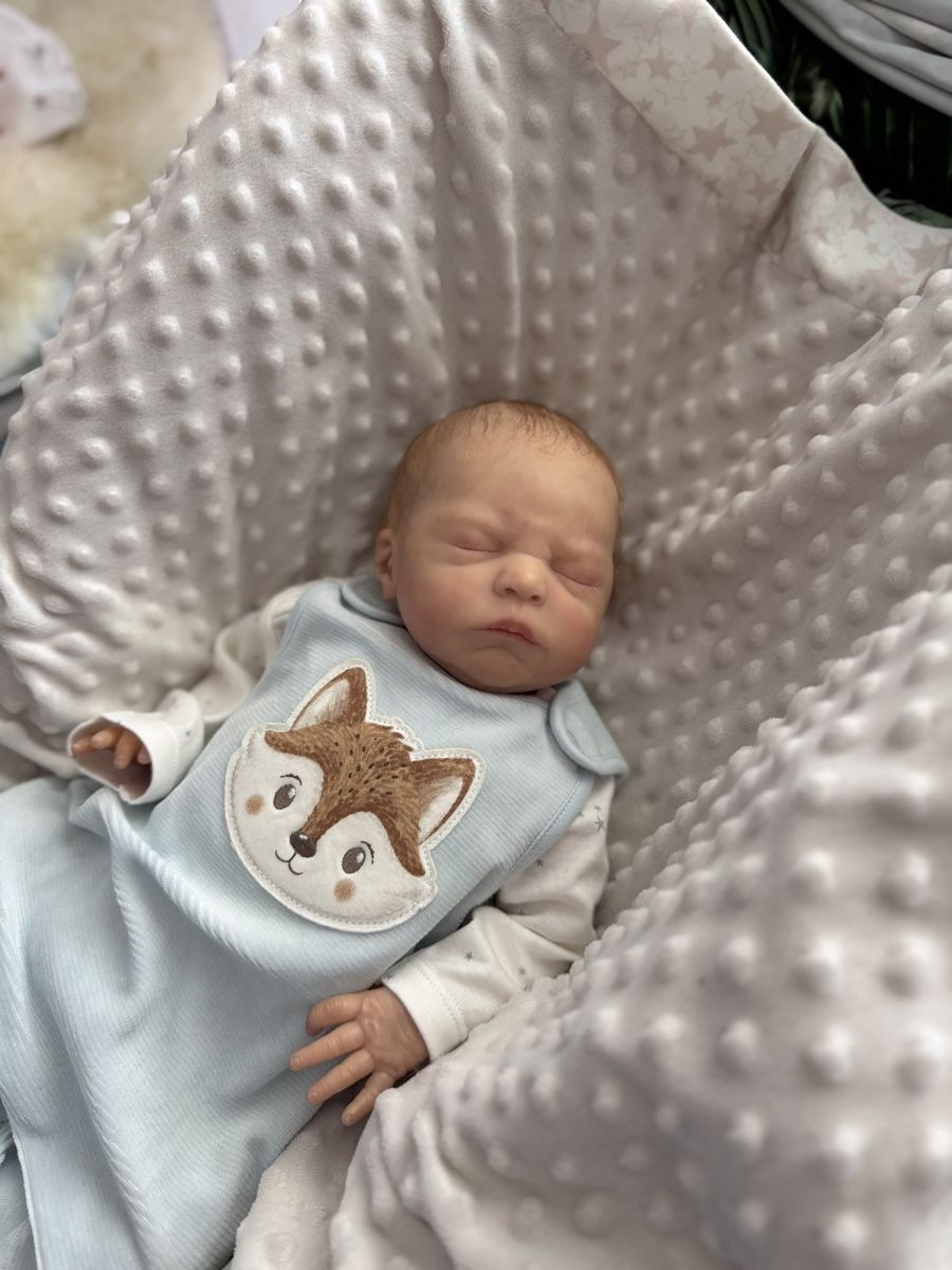 Reborn Puppen: Reborn  – Gebraucht aus Unterentfelden von van_m8g7 3