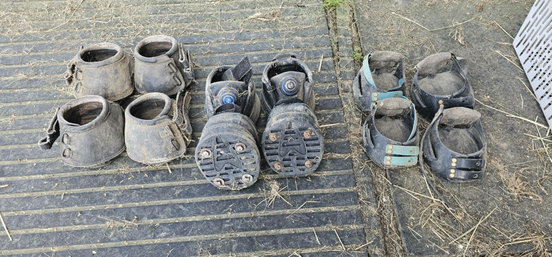 Zaumzeug & Halfter: Pferdezubehör – Gebraucht aus Galgenen von Nat_29vg 1
