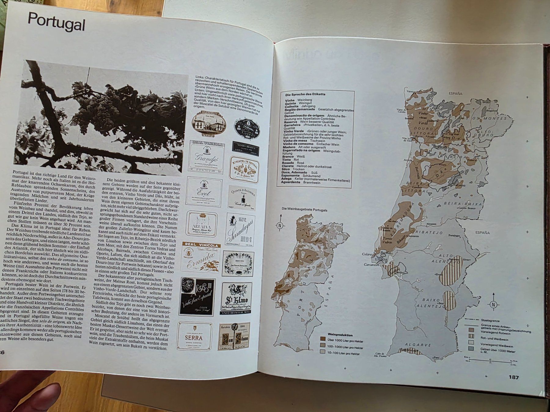 Libri: Weinatlas Hugh Johnson - Hallwag 1979 – Usato da Walterswil BE venduto da Lonitti 8