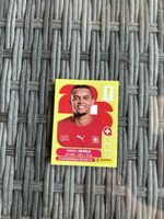 Panini WM 2026