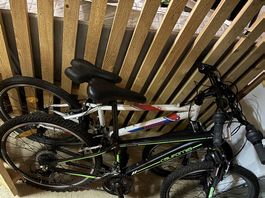 Vélos 