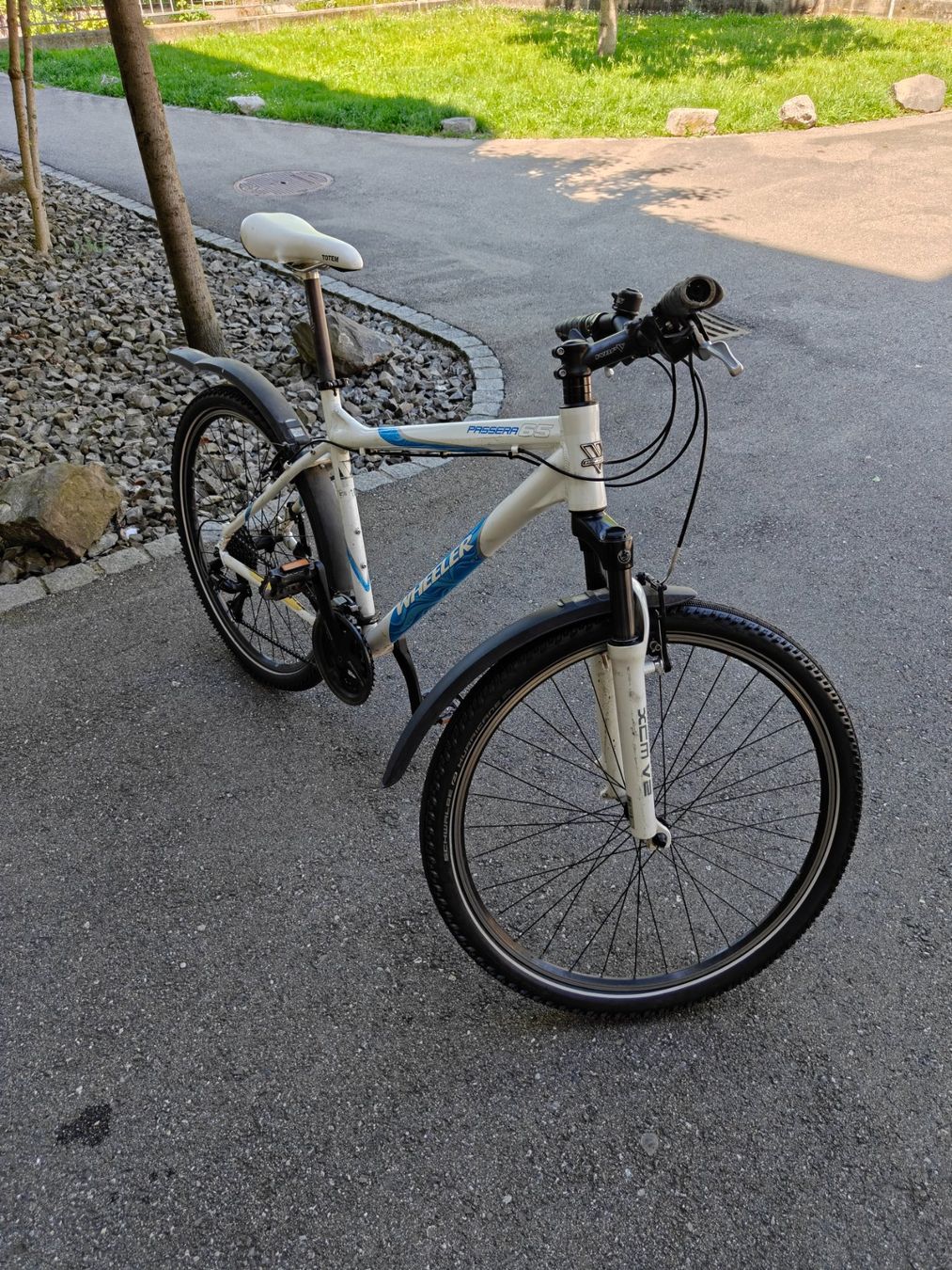 Wheeler Biciclette: Wheeler Mountainbike – Usato da Bern venduto da lin_hgy5 2