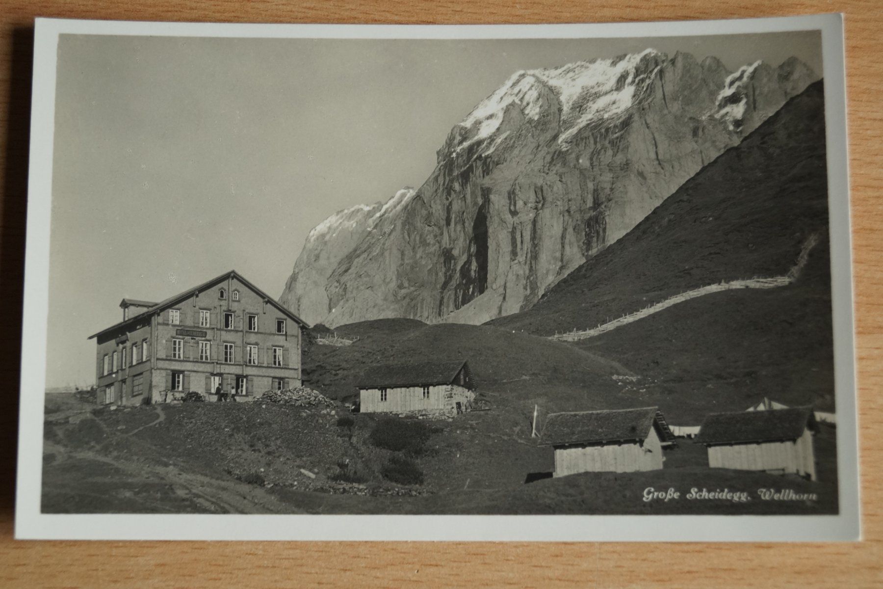 Cartoline postali: AK Grosse Scheidegg Wellhorn – Usato da Böckten venduto da Hansi36