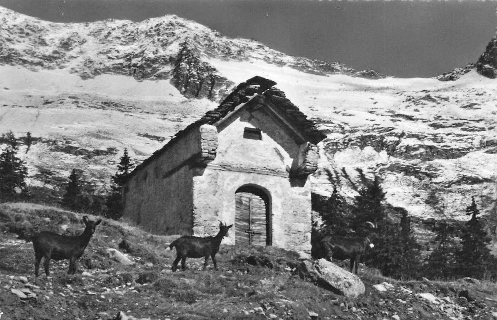 Cartoline postali: Monti Cari Leventina – Usato da Biasca venduto da Blenio71