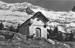 Monti Cari Leventina