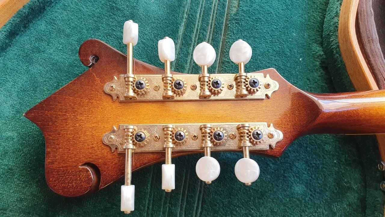 Washburn Strumenti musicali: Mandoline Washburn M-4S Jethro Burns – Usato da Biembach venduto da Musiksalander 8