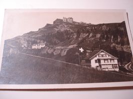PK Hotel Edelweiss, Rigi-Staffelhöhe, um 1930, ungelaufen