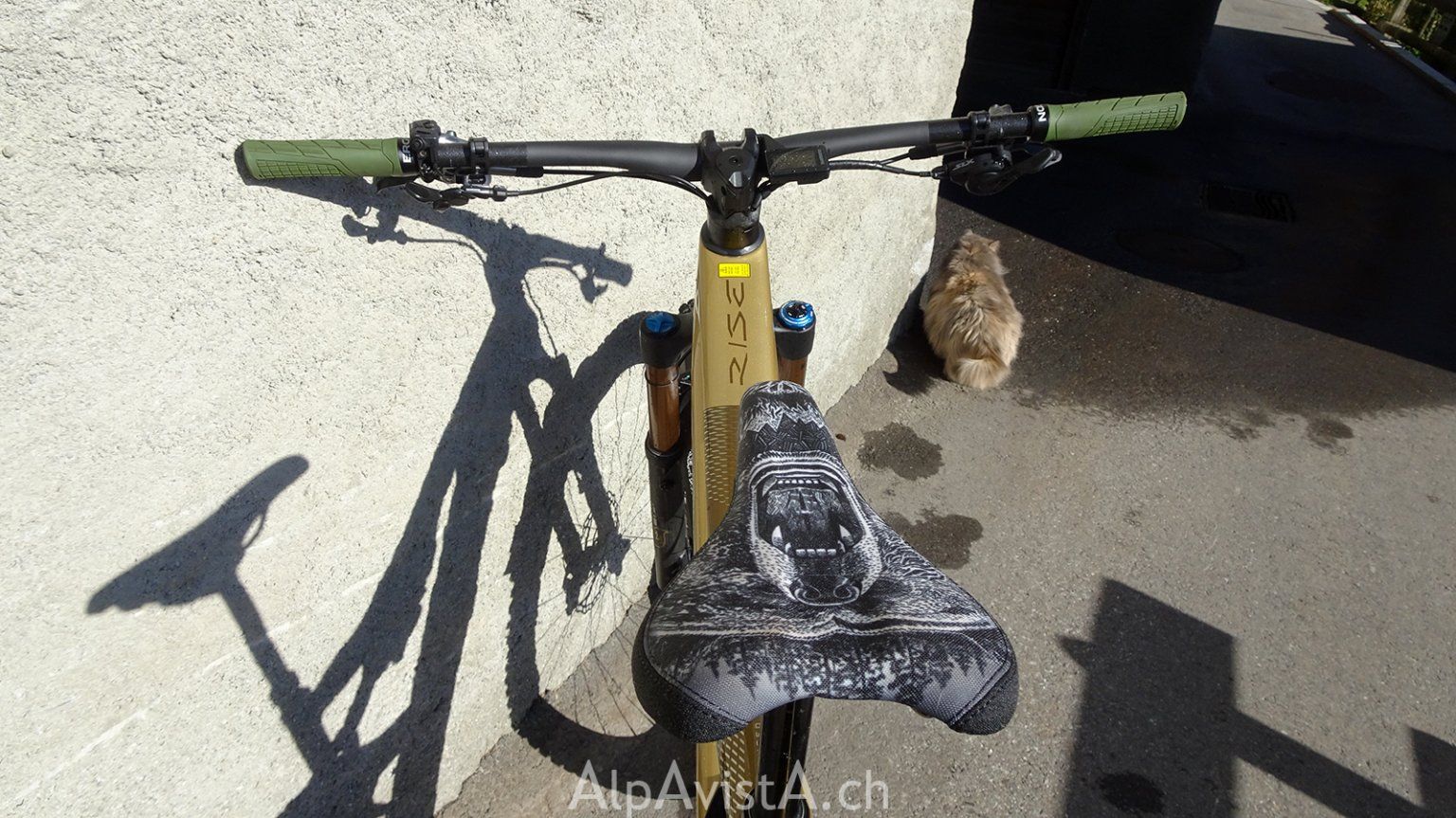 Orbea Biciclette: Orbea Rise LT2 M10 (2025) – Usato da Sarreyer venduto da AlpAvistA 7