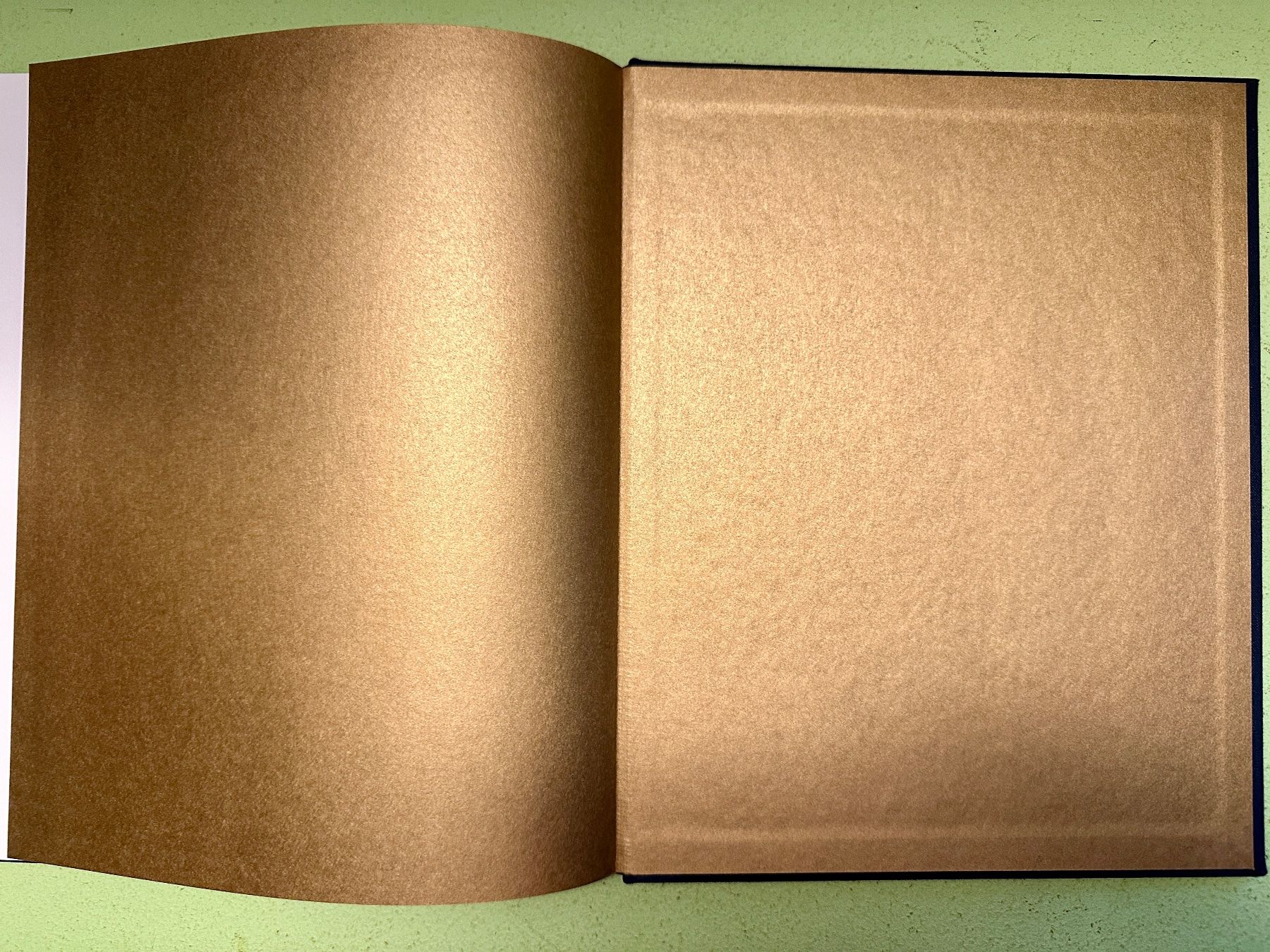 Libri: Craigie Aitchison: 'Pictures'. – Usato da Zürich venduto da allp 8