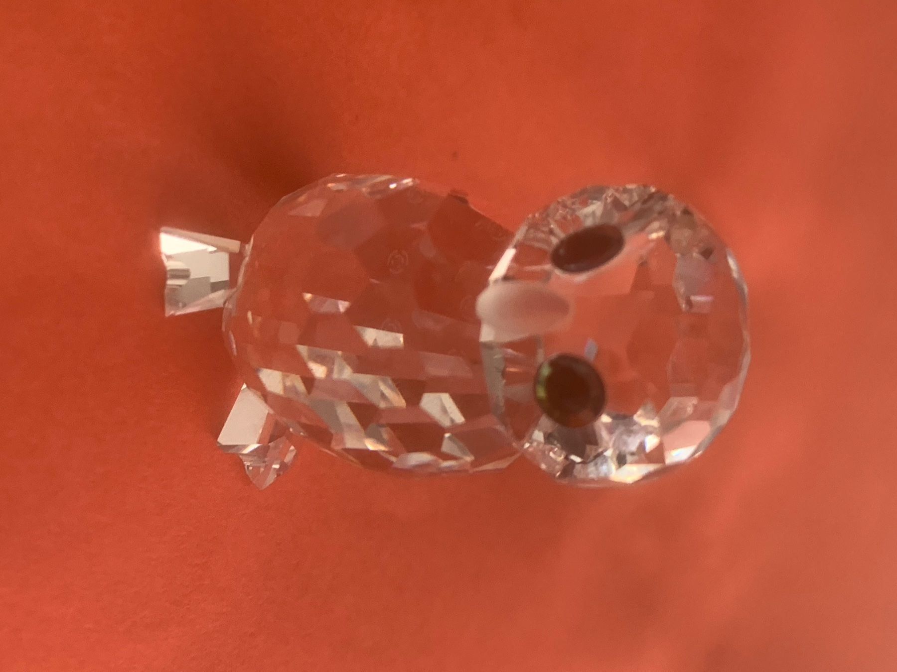 Swarovski Statuette: Swarovski Eule – Nuovo (secondo la descrizione) da Oberglatt ZH venduto da Multimix