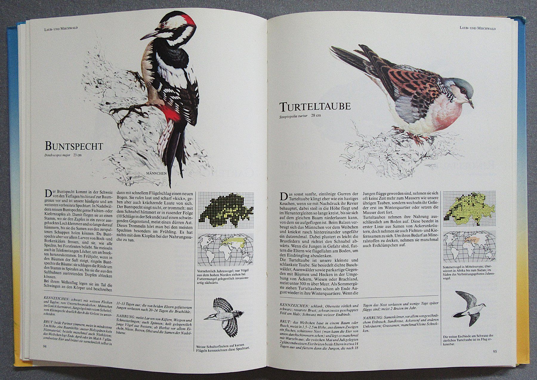 Bücher: Die häufigsten Vogelarten der Schweiz - in Text und Bild – Gebraucht aus Auenstein von Padabimbim 6
