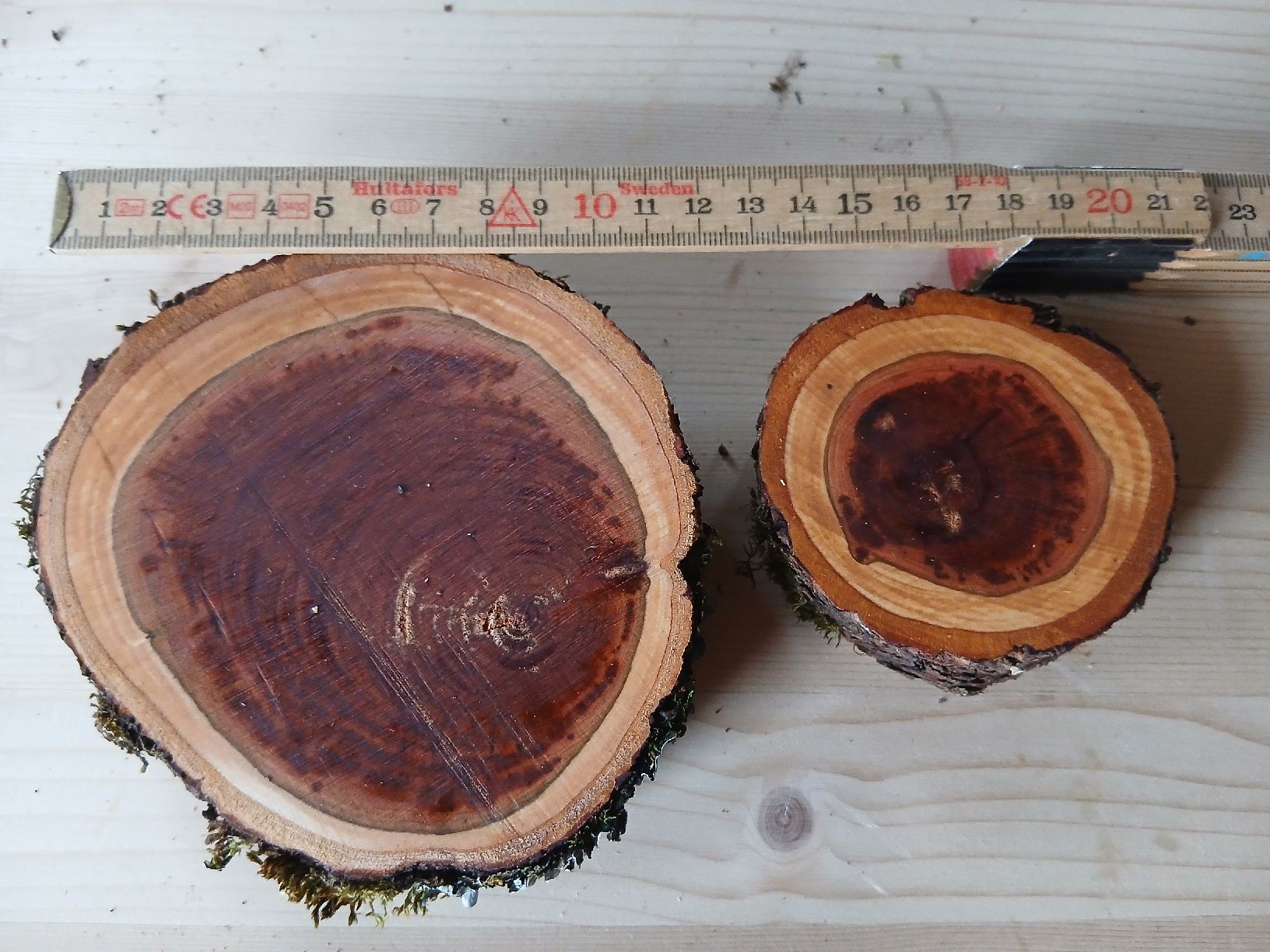 Holzartikel: Zwetschgen Holz Scheiben Epoxy – Neu (gemäss Beschreibung) aus Nesslau von Jakobi01 1