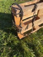 Pony Zaumzeug Leder inkl. Trense