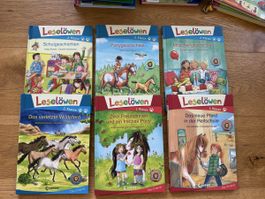 Leselöwen Buchpaket 2. Klasse guter Zustand 6 Stk