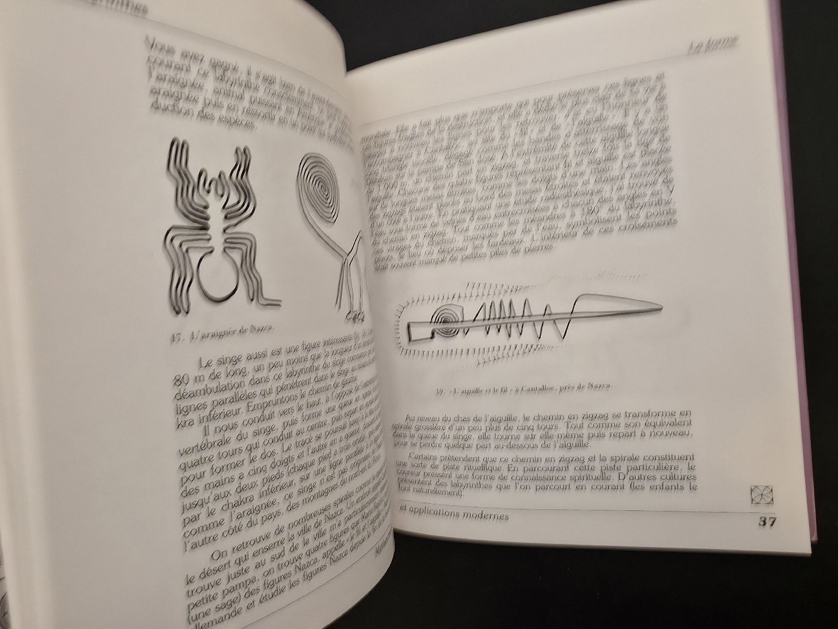 Bücher: Labyrinthes Sig Lonegren Dangles – Neu (gemäss Beschreibung) aus Montreux von Edelweissgirl_64 1