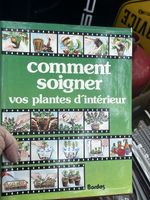 Comment soigner vos plantes d interieur