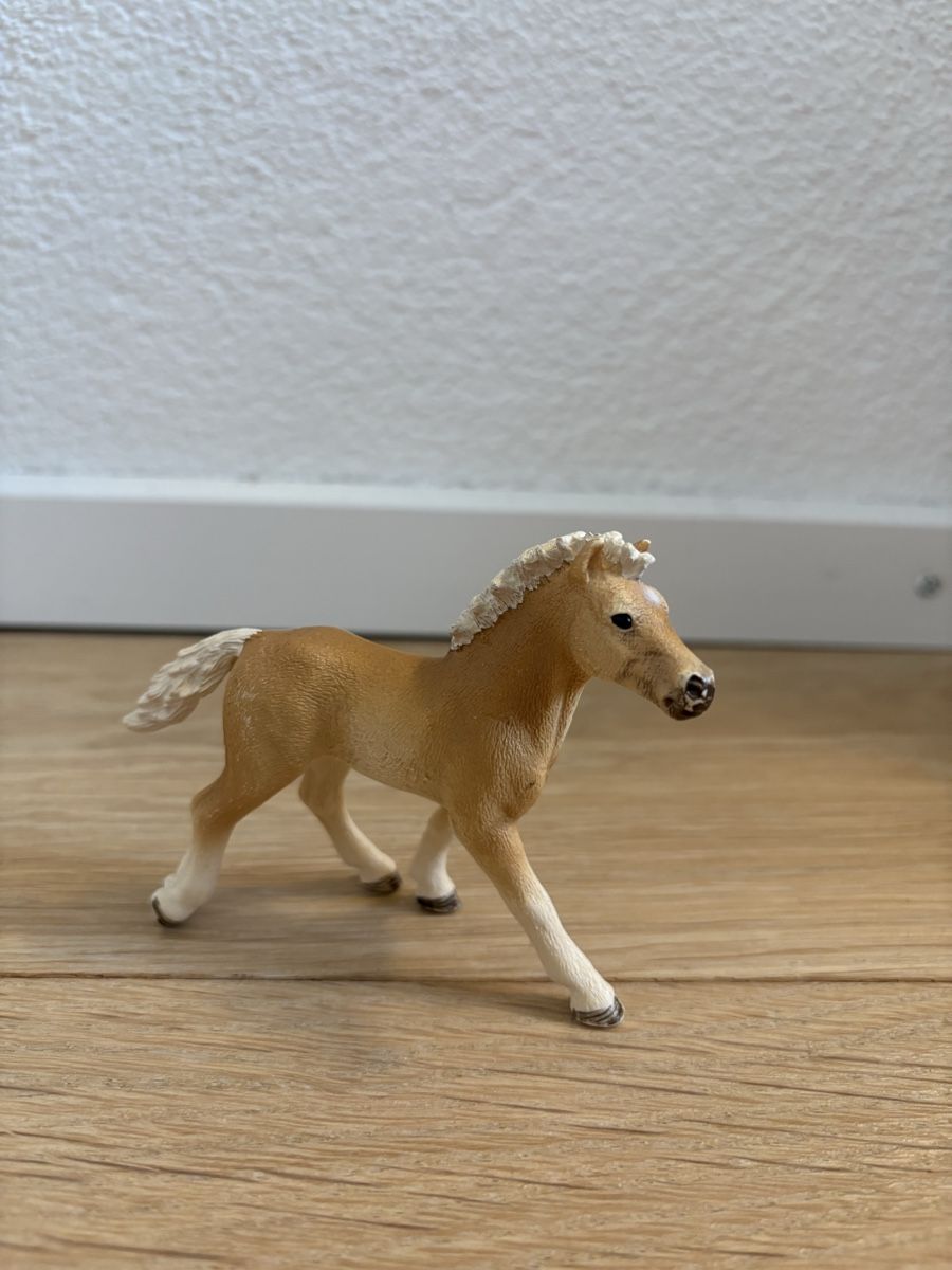 Schleich Giocattoli: Schleich Fohlen – Usato da Thun venduto da sop_thg9
