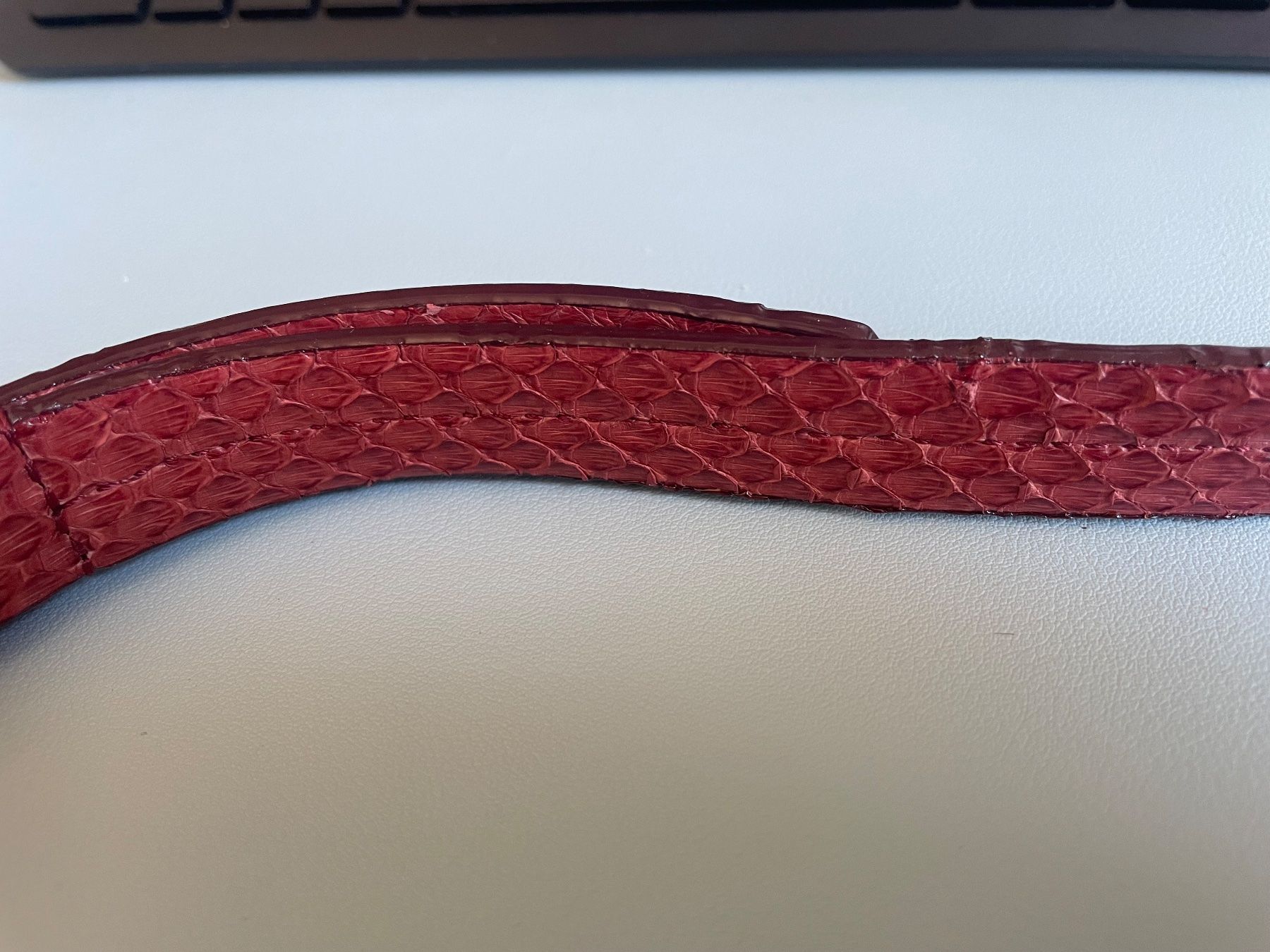 Louis Vuitton Altro in  Abbigliamento & Accessori: Louis Vuitton shoulder strap in reddish python leather – Usato da Baden venduto da ale_9jr2 2