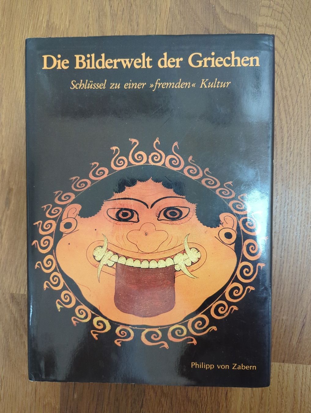 Libri: Die Bilderwelt der Griechen – Usato da Dübendorf venduto da luzi_8810