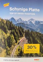 Gutschein 30% Rabatt auf die Fahrt 