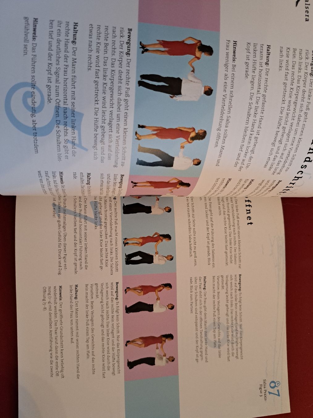 Libri: Salsa – Usato da magden venduto da cam_w2ff 2
