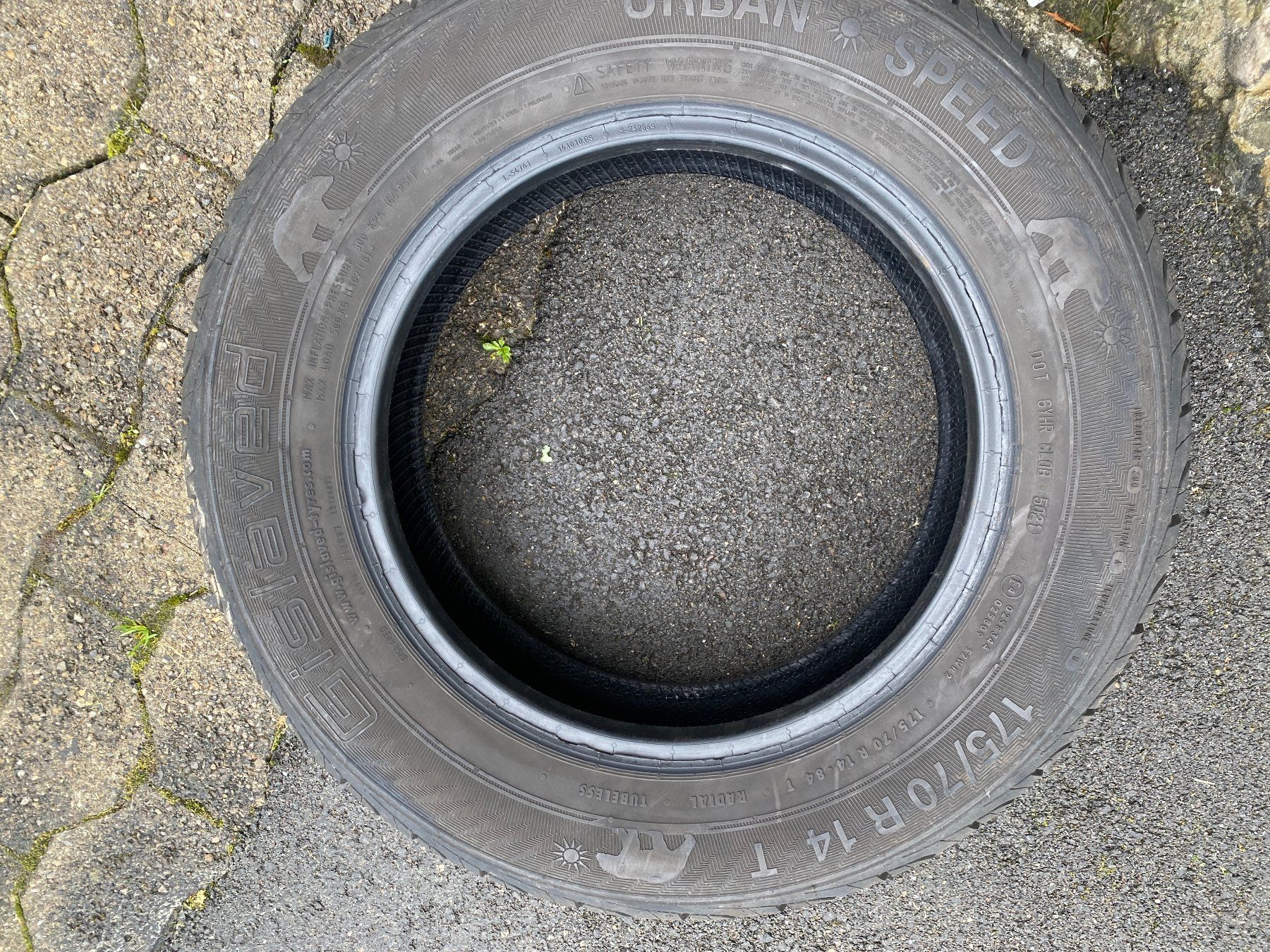 Pneumatici & Ruote complete: Sommerreifen 175/70 R14 – Usato da Kaltbrunn venduto da Steoli74 2