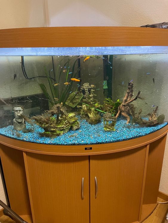 Aquarium 300L Kaufen auf Ricardo