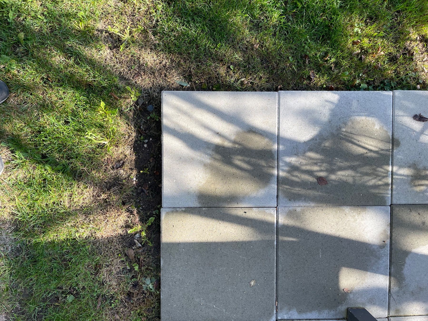 Revêtements de sol: Gartenplatten – D'occasion à Konolfingen par mae_9gmh
