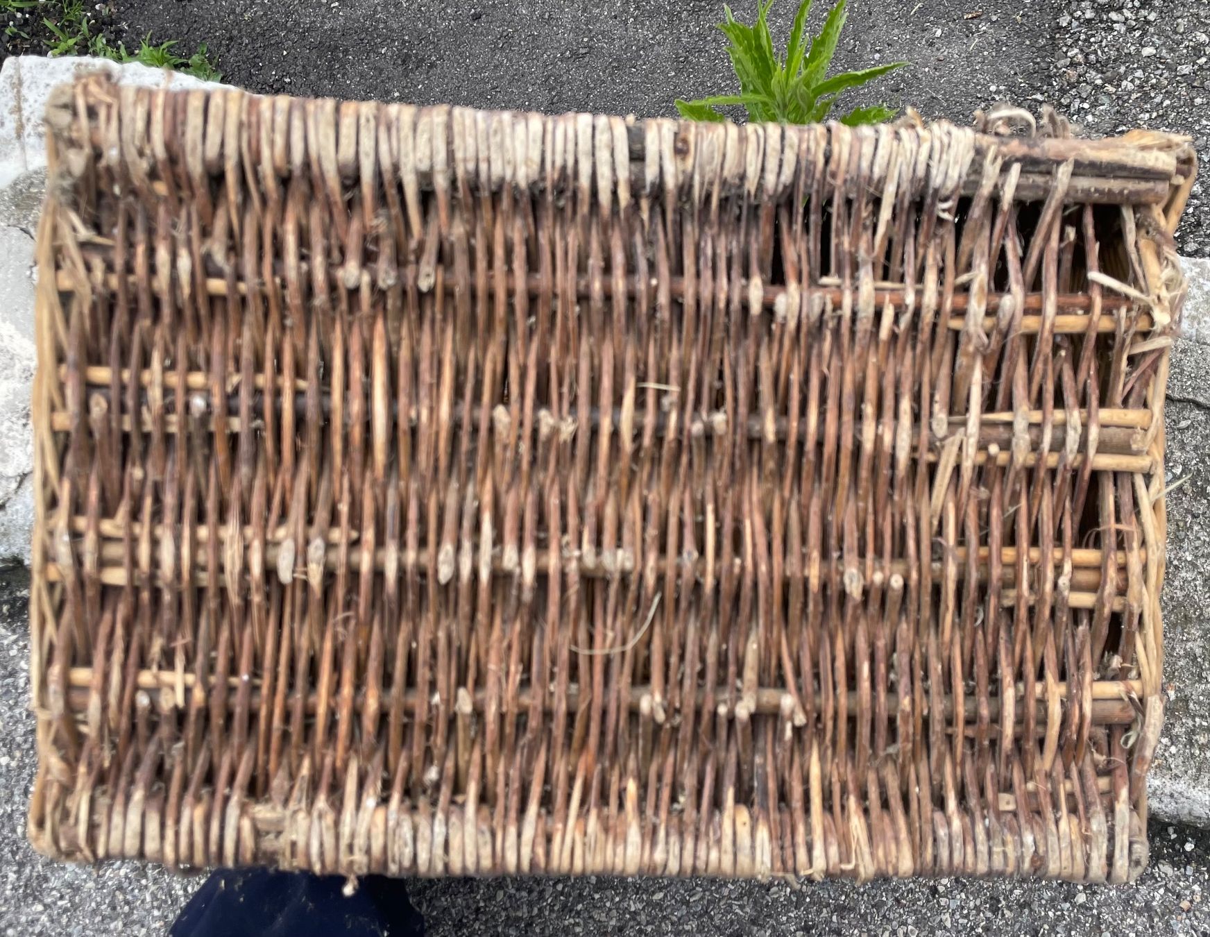 Altro per la casa: Cesta in vimini – Usato da Morbio Inferiore venduto da Ecod 3