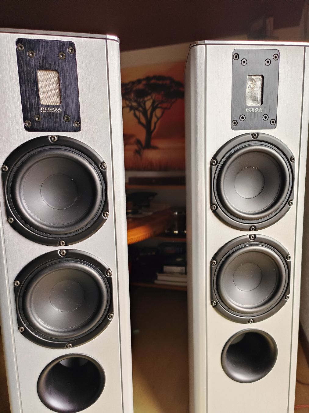 Piega Casse acustiche: Piega TP5 Highend Lautsprecher – Usato da Steffisburg venduto da zulg03 4