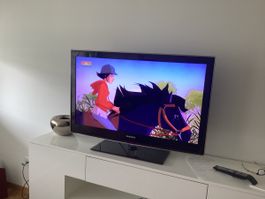 Fernseher Samsung, 1m Diagonale, mit Fernbedienung