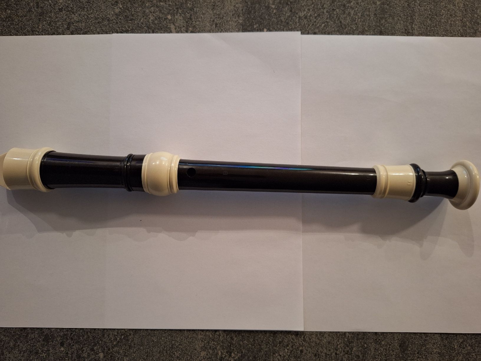 Strumenti musicali: SCHÜLERBLOCKFLÖTE – Nuovo (secondo la descrizione) da Steinhausen venduto da togoraul123 1