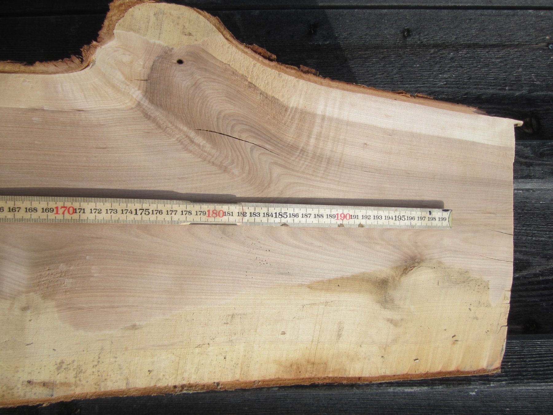 Articoli in legno: Vogelbeerbaum  zum Drechseln – Nuovo (secondo la descrizione) da Nesslau venduto da Jakobi01 2