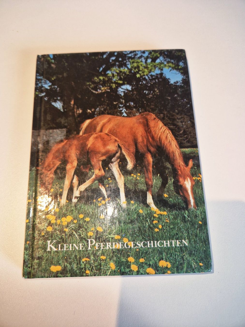 Libri: Buch kleine Pferdegeschichten – Usato da Stüsslingen venduto da white_angel86
