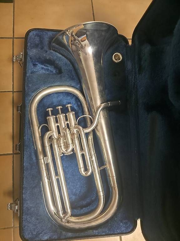 Strumenti musicali: Vendo althorn yamaha yah 202S – Usato da Faido venduto da SX32 1