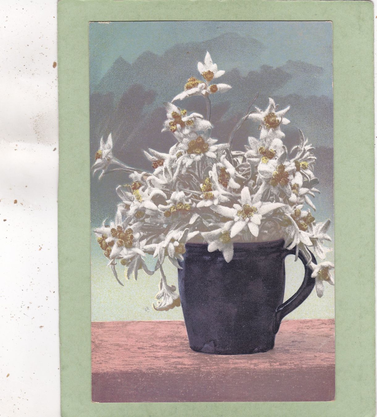 Ansichtskarten: Kitsch Blumen Tasse Edelweiss – Gebraucht aus Herisau von Lisegrat2008