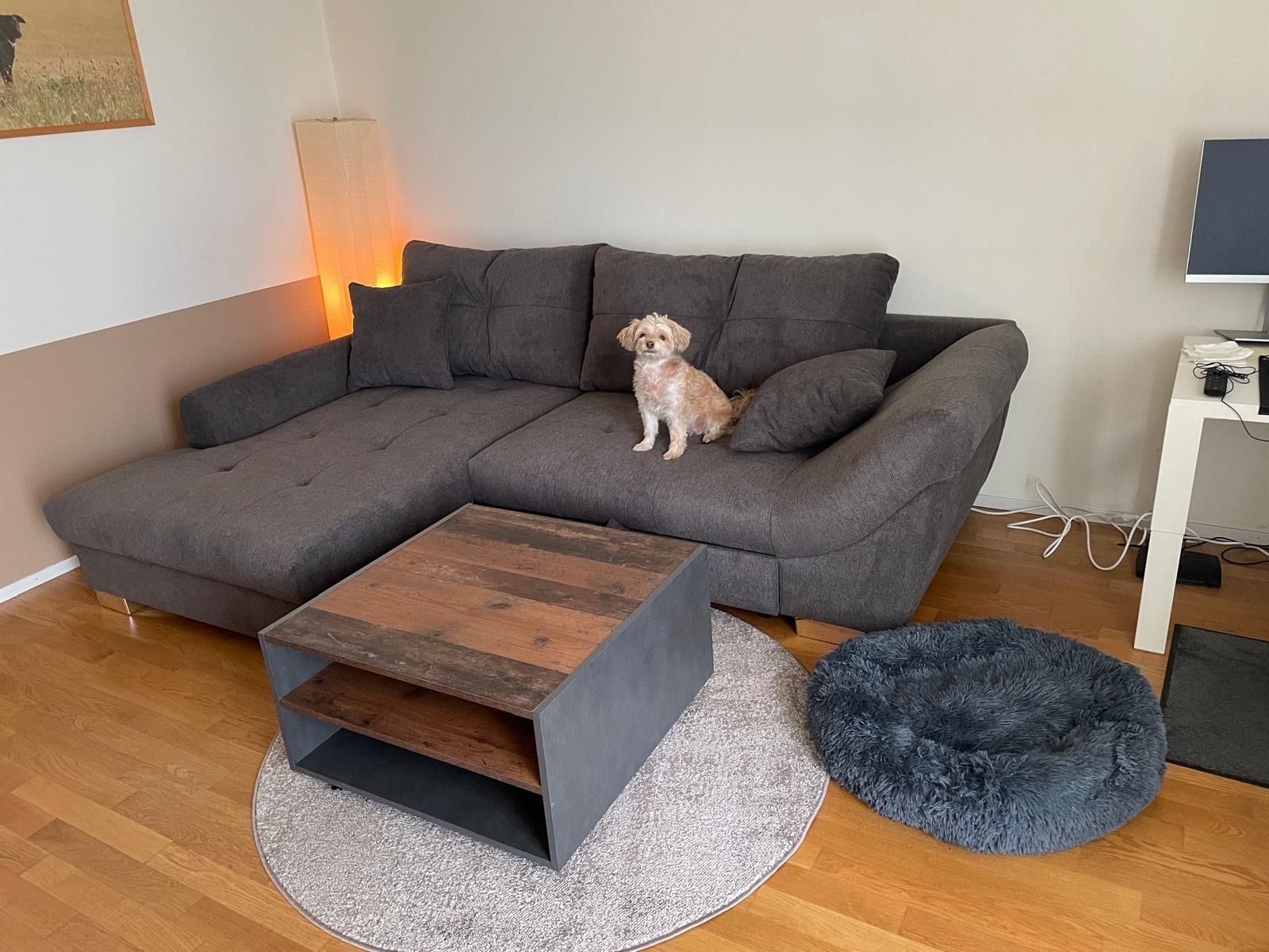 Sofas: Sofa mit Bettfunktion zu verkaufen – D'occasion à Glattbrugg par mol_9cbk 1