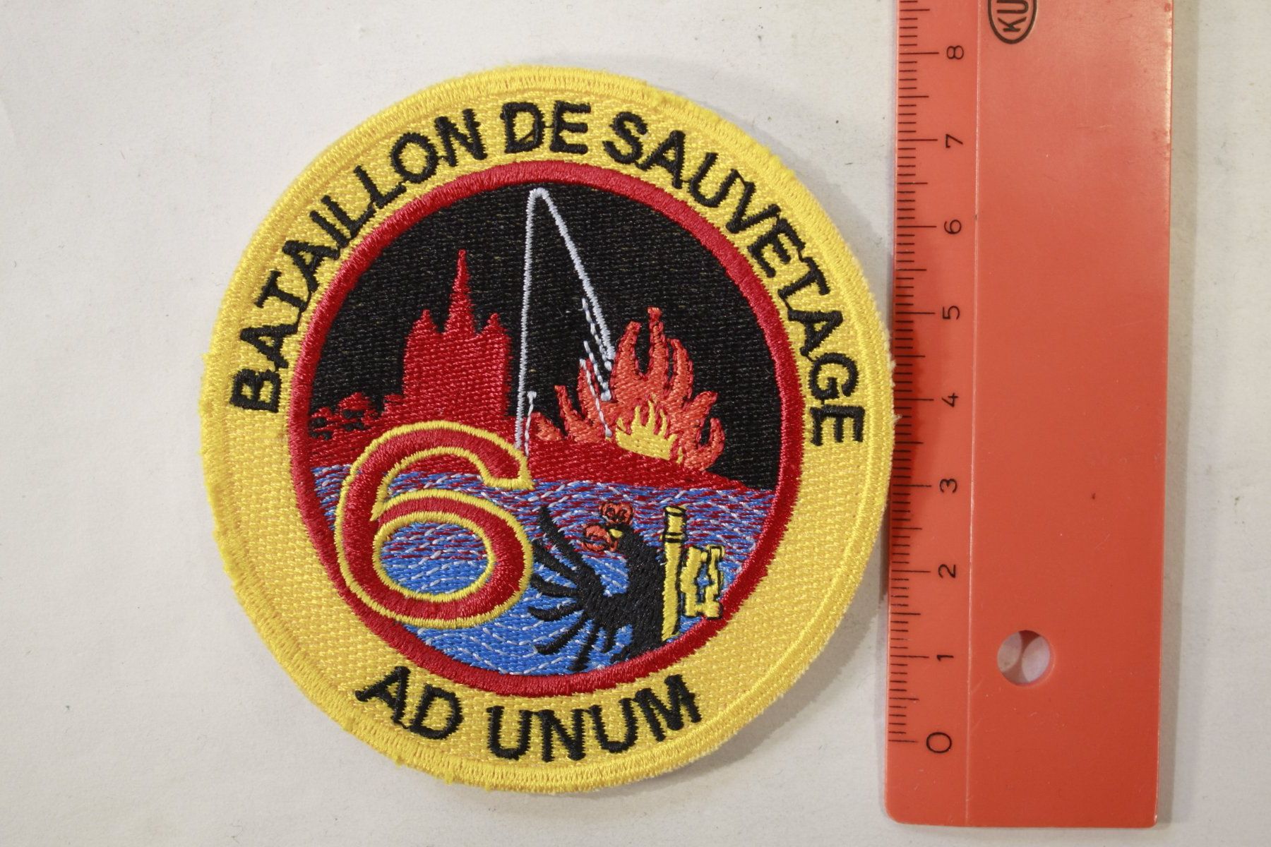 Schweizer Armee Plaketten & Abzeichen: Bat sauv 6 – Gebraucht aus La plaine von 7A6T2ME