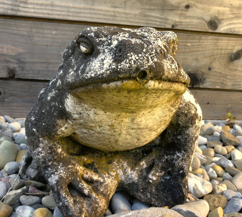Alter SteinFrosch Kröte Wasserspeier für Garten / Teich Kaufen