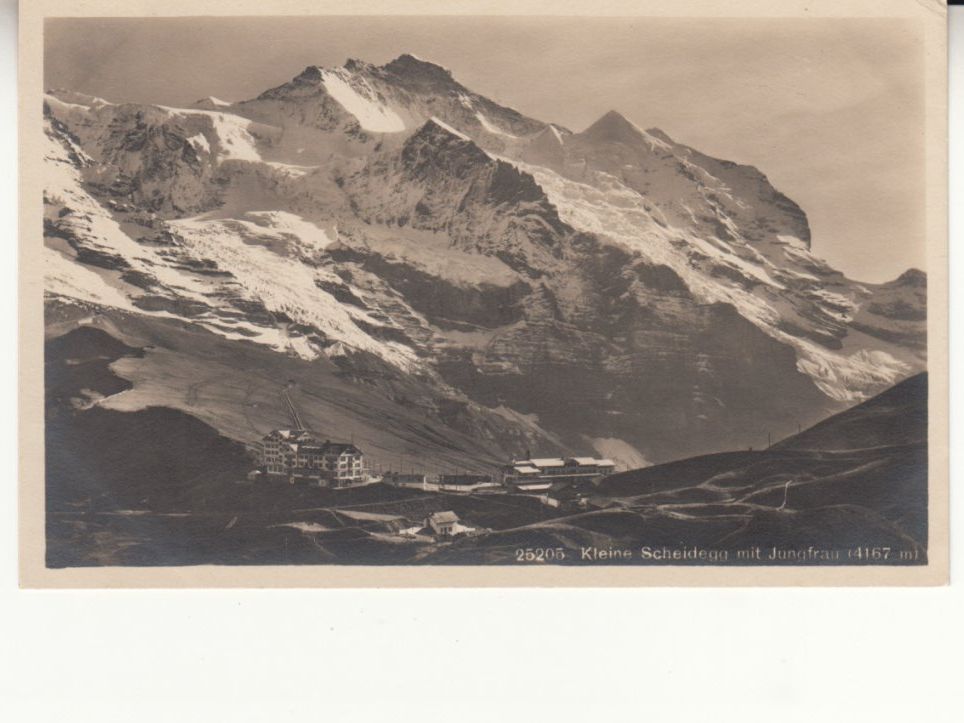 Cartes postales: Kleine Scheidegg 1921 – D'occasion à Bürglen TG par StampGraf