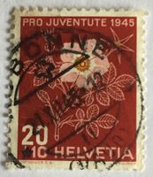 Nr J 115  mit Vollstempel