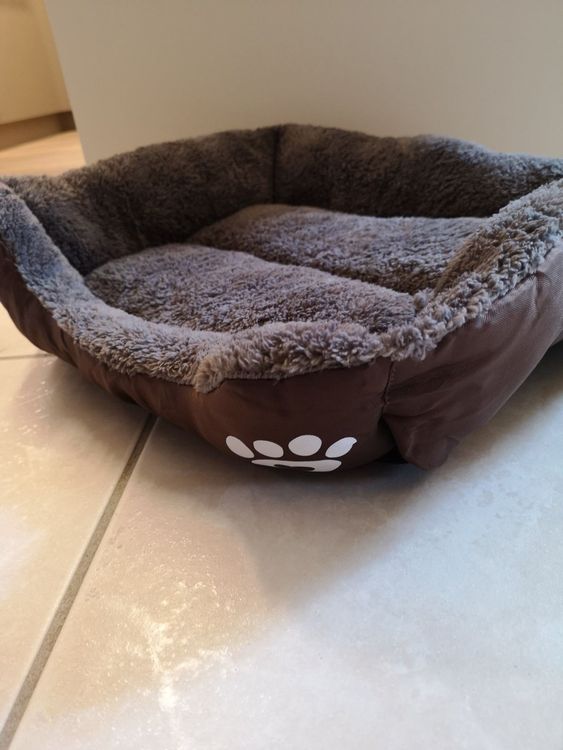 Roblue Hundebett In Jurten-Form, Faltbar, Waschbar – Für Hunde & Katzen, Größen S Bis XL, Mit Teppich