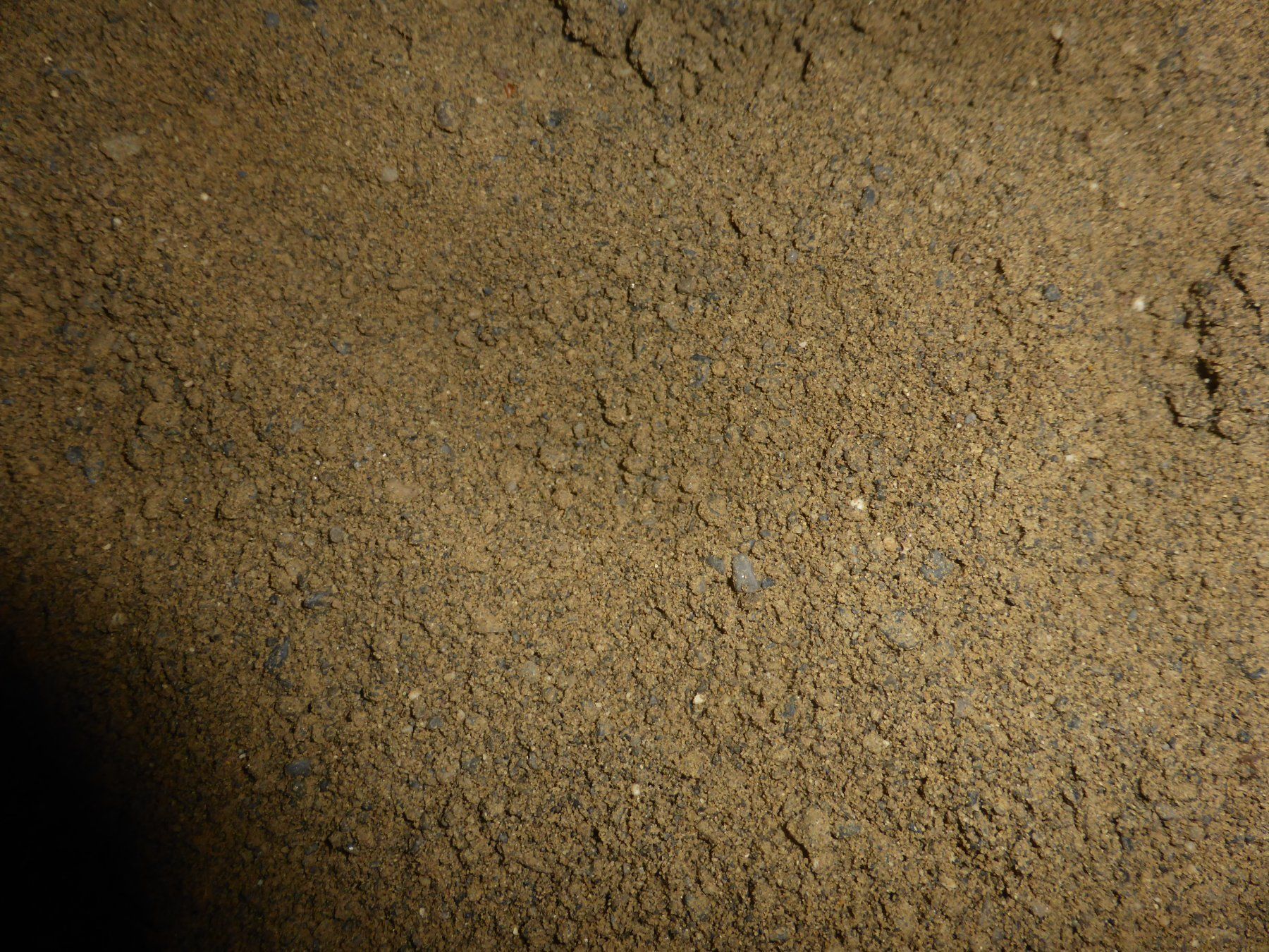 Sandkasten: Sand – Gebraucht aus Triengen von Nussbaum14 1