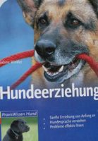Hundeerziehung (6)