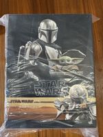 Figurine Hot Toys The Mandalorian et The Child - TMS015