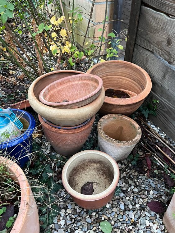 Terracotta Töpfe, verschiedene Grössen und Zustände, ca 8 Kaufen auf